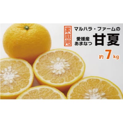 【家庭用】 マルハラファーム 甘夏 7kg