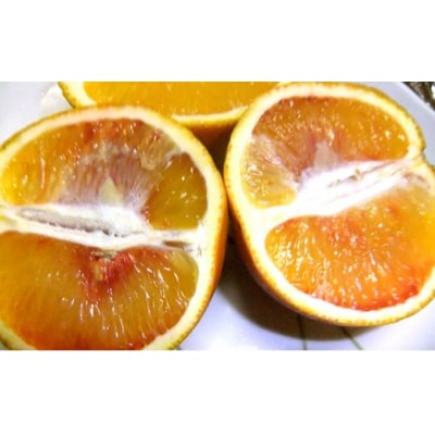 数量限定 先行受付 ブラッドオレンジ ( タロッコ ) 3kg 岡平農園 愛南町 愛媛県