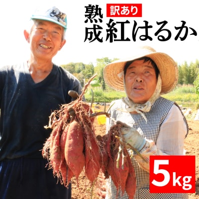 訳あり 熟成 紅はるか 5kg さつまいも  愛南町青果市場