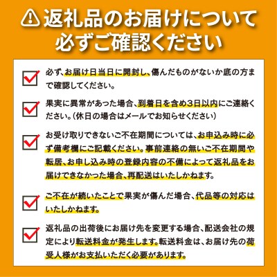 先行受付 訳あり 河内晩柑 7kg 山口農園 発送期間: 4月～7月 (なくなり次第終了)