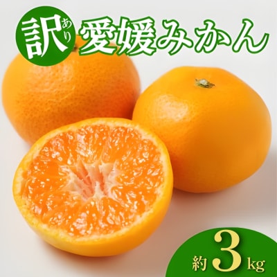 訳あり 愛媛みかん 約3kg みかん 蜜柑 温州みかん オレンジ 果物 愛媛県 愛南町 和家農園