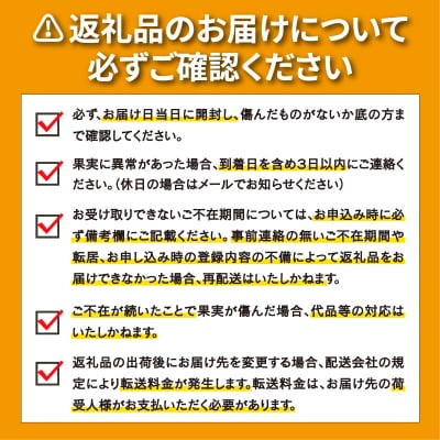 訳あり 愛媛みかん 約11kg 和家農園 発送期間:2023年11月上旬～12月下旬(なくなり次第