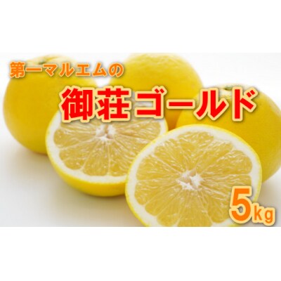 【先行予約】 御荘ゴールド (河内晩柑) 秀品 5kg 第一マルエム 減農薬 柑橘 愛媛県 愛南町産
