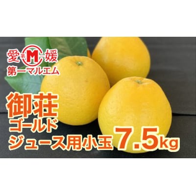 第一マルエムの御荘ゴールド(愛南産の河内晩柑) ジュース用小玉7.5kg