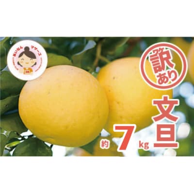 【先行予約】 訳あり 文旦 7kg あいなんマザーズ 愛南町 愛媛県
