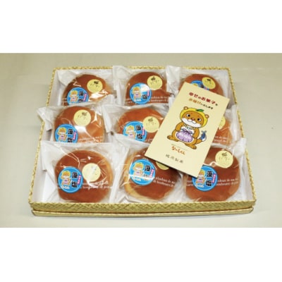 藻塩 バターサンド 9個 老舗 菓子 スイーツ 職人 ギフト 贈答 プレゼント あんバター 愛南町