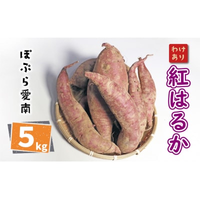訳あり 紅はるか 5kg サイズミックス サツマイモ 焼き芋 干し芋 丸干し 冷凍焼き芋 愛南町