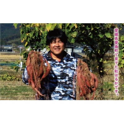 訳あり 紅はるか 10kg サイズミックス サツマイモ やきいも 焼き芋 甘い ねっとり 土付き 芋