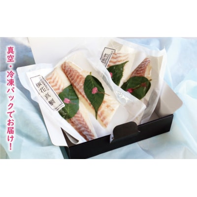 桜花 真鯛 切り身 4柵 合計 540g ( 270g ×2 パック ) 朝〆 まだい 鯛 愛南町