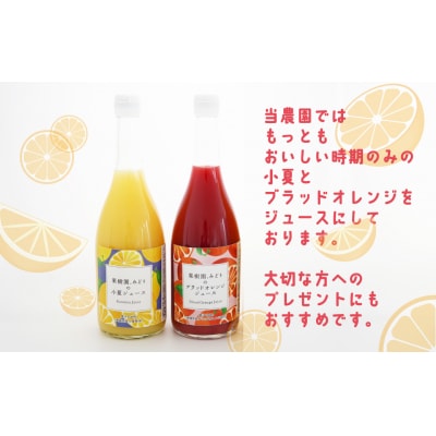 【 先行予約 】 みかん 果汁 100% ストレート ジュース 720ml 2種 セット 数量限定