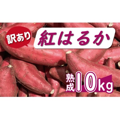 訳あり 熟成 紅はるか 10kg サイズ混合 サツマイモ 焼き芋 干し芋 丸干し 冷凍焼き芋