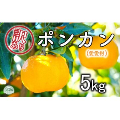 【先行受付】【2027年1月10日～】訳あり愛愛柑 ポンカン5kg フルーツアイランド・マルエム直販