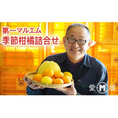 第一マルエムの季節柑橘詰合せ(4～8kg)