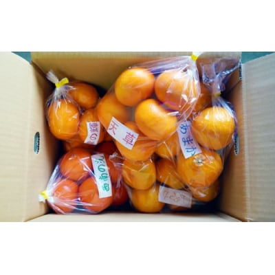 第一マルエムの季節柑橘詰合せ(4～8kg)