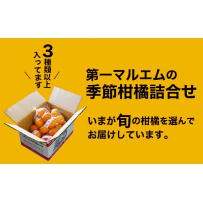 第一マルエムの季節柑橘詰合せ(3.5kg～6kg)
