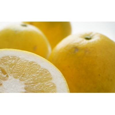 訳あり 第一マルエムの新女王( 文旦 ) 8kg