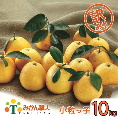 【訳あり】みかん職人の河内晩柑 小粒っ子 10kg