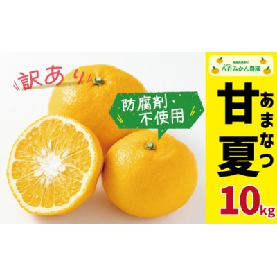 【 先行受付 】 訳あり 完熟 甘夏 10kg <発送期間:4月下旬～無くなり次第終了> みかん
