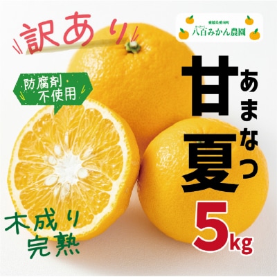 【先行受付】 訳あり 完熟甘夏 5kg <発送期間:2027年月下旬~> 八百みかん農園
