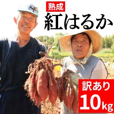 訳あり 熟成さつまいも 紅はるか 10kg 2S～3Lサイズ 愛南町青果市場