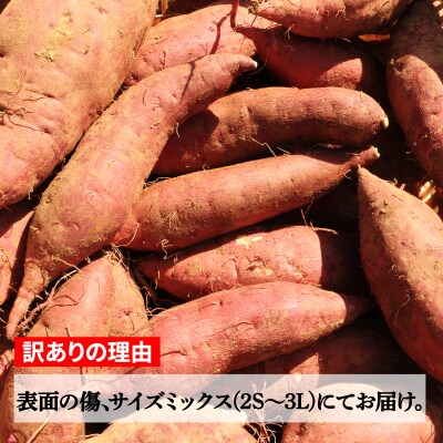 訳あり 熟成さつまいも 紅はるか 10kg 2S～3Lサイズ 愛南町青果市場