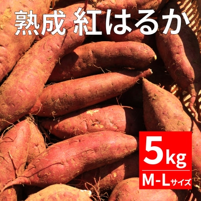 熟成さつまいも 紅はるか 5kg M‐Lサイズ 愛南町青果市場 