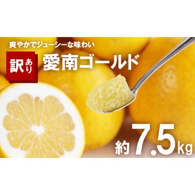 訳あり 河内晩柑 7.5kg サイズミックス 大樹農園 愛南町 愛媛県