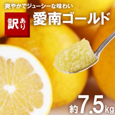 先行予約 訳あり河内晩柑 7.5kg サイズミックス 大樹農園 愛南町 愛媛県