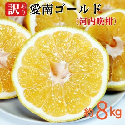 愛南ゴールド ( 河内晩柑 ) 8kg 愛南町 青果市場 なくなり次第終了