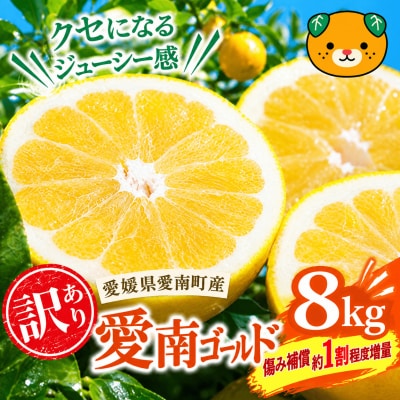 【先行予約:2027年3月下旬から発送】 愛南ゴールド 8kg +傷み補償約1割程度 愛南町青果市場