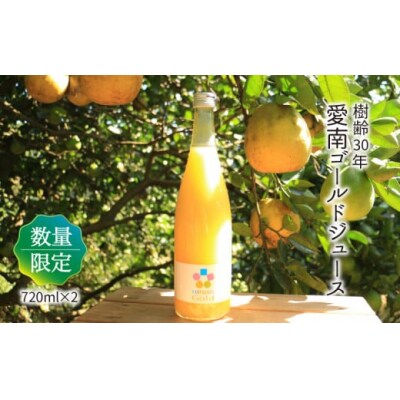 樹齢30年 愛南ゴールドジュース 720ml × 2本 河内晩柑 焼酎 愛南町 青果市場