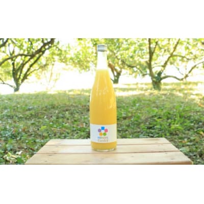 樹齢30年 愛南ゴールドジュース 720ml × 2本 河内晩柑 焼酎 愛南町 青果市場