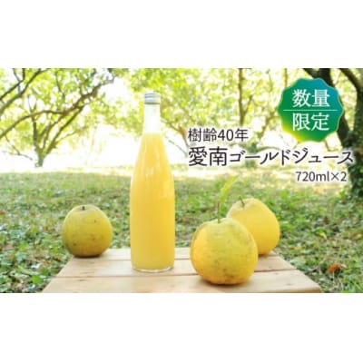 樹齢40年 愛南ゴールドジュース 720ml × 2本 河内晩柑 焼酎 愛南町 青果市場