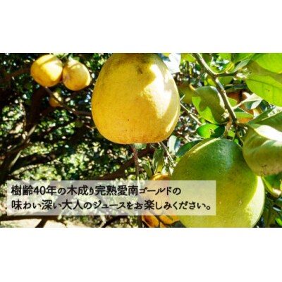 樹齢40年 愛南ゴールドジュース 720ml × 2本 河内晩柑 焼酎 愛南町 青果市場