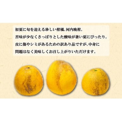 訳あり 愛南ゴールド5kgと愛南ゴールドジュース 720ml1本のセット みかん 愛南町 青果市場