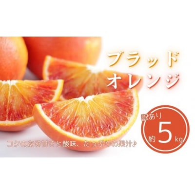 訳あり ブラッドオレンジ タロッコ 約5kg 柑橘 フルーツ 果物 みかん エニシトラス