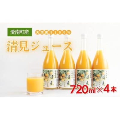 清見ジュース ストレート 720ml× 4本 中山農園 みかん 柑橘 きよみ 無添加 数量限定 愛媛