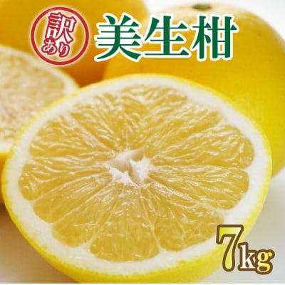 訳あり 美生柑約7kg フルーツアイランド・マルエム直販