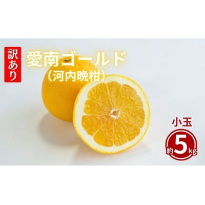 訳あり  愛南ゴールド 5kg  Sサイズ みかん 蜜柑 果物 柑橘 河内晩柑 愛媛 愛南 和家農園