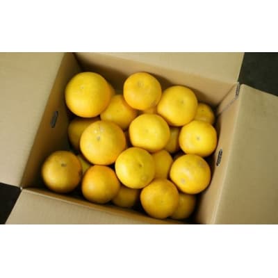 訳あり  愛南ゴールド 5kg  Sサイズ みかん 蜜柑 果物 柑橘 河内晩柑 愛媛 愛南 和家農園