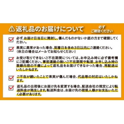 訳あり  愛南ゴールド 5kg  Sサイズ みかん 蜜柑 果物 柑橘 河内晩柑 愛媛 愛南 和家農園