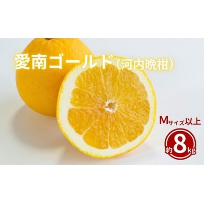 家庭用 愛南ゴールド 8kg みかん 柑橘 果物 河内晩柑 フルーツ