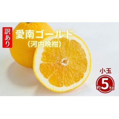 訳あり 愛南ゴールド 5kg  Sサイズ みかん 蜜柑  果物 愛媛県 愛南町 和家農園
