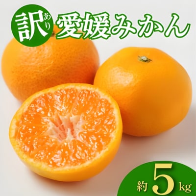 訳あり 愛媛みかん 約5kg みかん 蜜柑 温州みかん オレンジ 果物 愛媛県 愛南町 和家農園