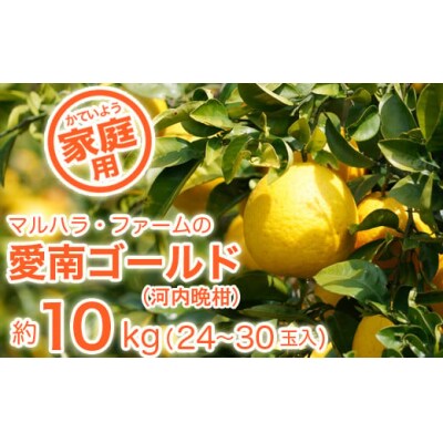 【家庭用】マルハラファームの河内晩柑10kg 柑橘 フルーツ 果物 愛媛 愛南町
