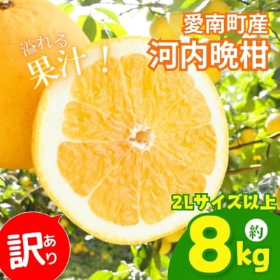 先行予約 訳あり河内晩柑 2Lサイズ以上 約8kg サイズミックス 大樹農園 愛南町 愛媛県