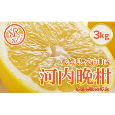 訳あり 河内晩柑 約3kg 柑橘 みかん 果物  フルーツアイランド・マルエム直販 愛媛県 愛南町