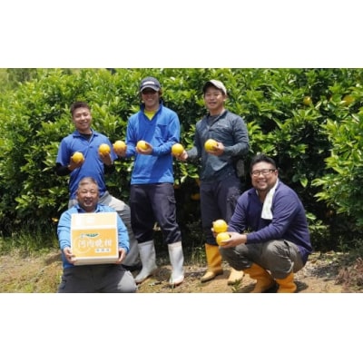 訳あり 河内晩柑 約3kg 柑橘 みかん 果物  フルーツアイランド・マルエム直販 愛媛県 愛南町