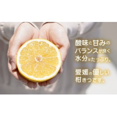 訳あり 河内晩柑 約3kg 柑橘 みかん 果物  フルーツアイランド・マルエム直販 愛媛県 愛南町
