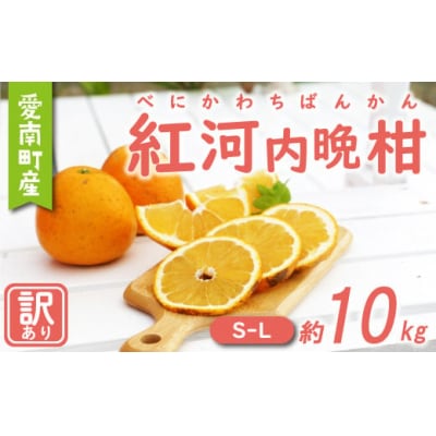 訳あり 紅 河内晩柑 ( S - L サイズ 混合 )10kg 7000円 農家直送